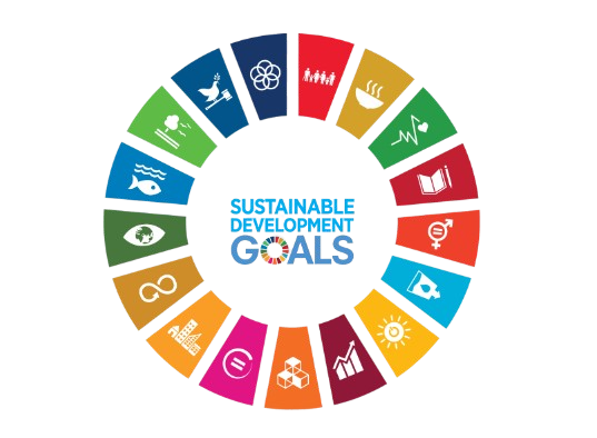 From Classroom to Global Action: Why Schools Must Teach the SDGs